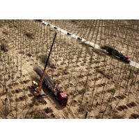 造林工程规划设计