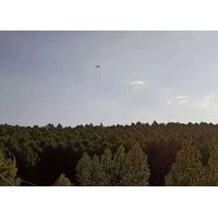 森林城市与生态修复监测服务